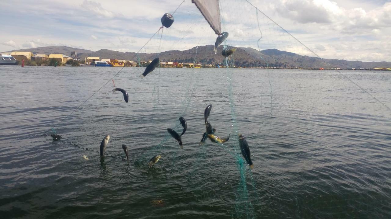 Quechua Lodge Titicaca Puno Dış mekan fotoğraf